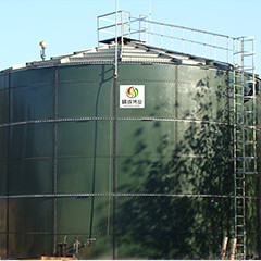 Digestão geral da lama anaeróbica do Upflow do reator do biogás EGSB para o estrume da galinha