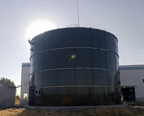 Equipamento anaeróbico do biogás do digestor da digestão anaeróbica da hidrólise