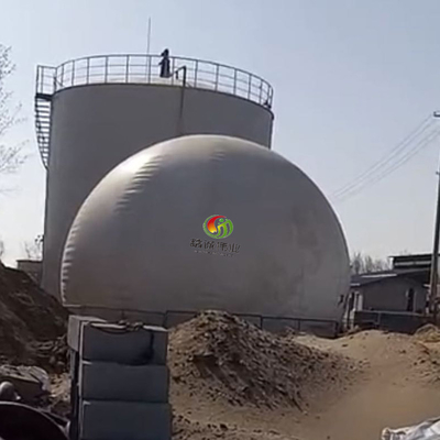 Suporte dobro redondo do biogás da membrana com reciclagem da vantagem
