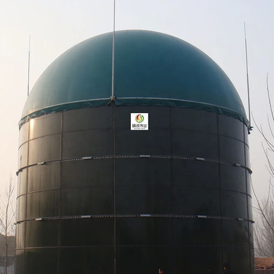 Projeto de instalação de biogás de pintura a vapor para energia sustentável