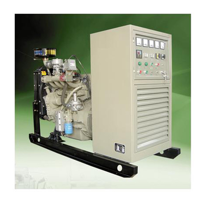 Motor da biomassa 100KW - gerador elétrico do biogás dos geradores conduzidos para a casa