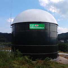 Biogás anaeróbico do reator de leito fluidizado UASB do estrume da galinha