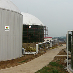 Biogás anaeróbico do reator de leito fluidizado UASB do estrume da galinha