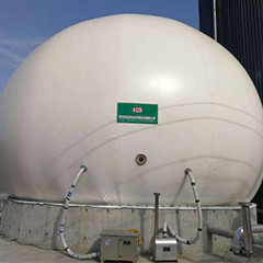 Digestão geral da lama anaeróbica do Upflow do reator do biogás EGSB para o estrume da galinha
