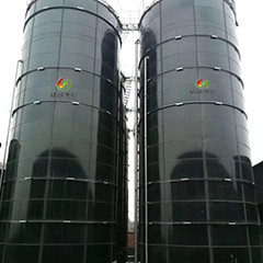 Digestão geral da lama anaeróbica do Upflow do reator do biogás EGSB para o estrume da galinha