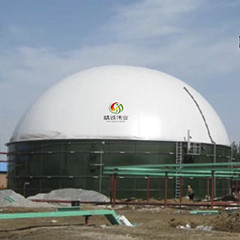 Digestor anaeróbico do metano do estrume do tratamento de águas residuais do reator de EGSB