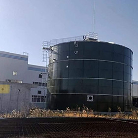 Digestor anaeróbico do metano do estrume do tratamento de águas residuais do reator de EGSB