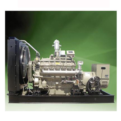 Eletricidade do gerador do gás de metano do motor-gerador 500KW do biogás 10KVA
