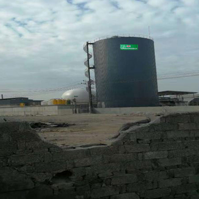 Planta de tratamento de águas residuais do CHP de Dung Biogas Chp Plant EGSB da vaca